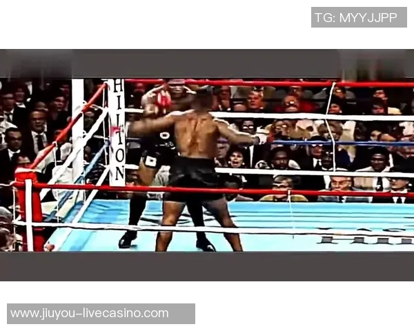 伯比克与阿里巅峰对决谁能在拳坛称霸荣耀之路