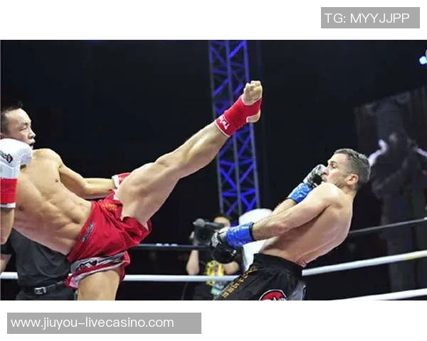 伯比克与阿里巅峰对决谁能在拳坛称霸荣耀之路